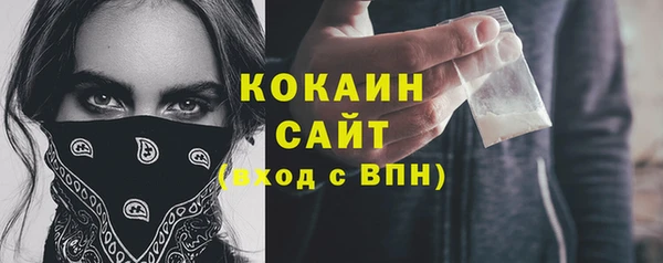 индика Беломорск