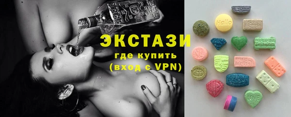 индика Беломорск