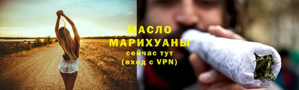 индика Беломорск