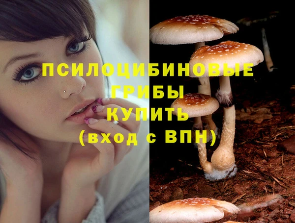 индика Беломорск