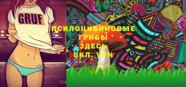 индика Балахна