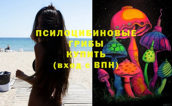марихуана Белокуриха