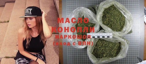 индика Беломорск
