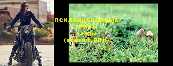 марихуана Белокуриха