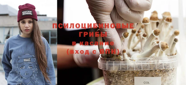 индика Беломорск