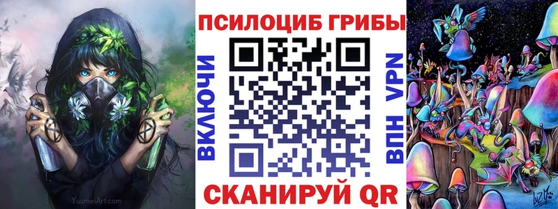 Галлюциногенные грибы Cubensis Буйнакск