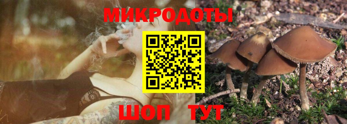 Буйнакск  Псилоцибиновые грибы ЛСД  Вход с VPN 