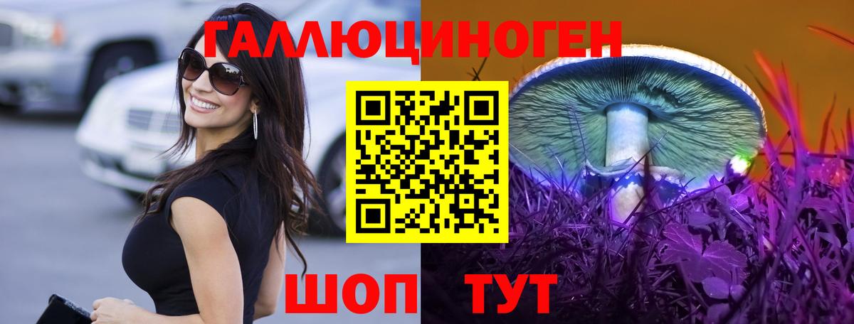 Галлюциногенные грибы GOLDEN TEACHER Буйнакск