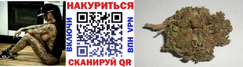 Бошки Шишки конопля  Буйнакск 